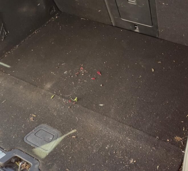 32d477b5-3231-41da-9fe9-7d965feb36b0